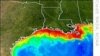 US Scientists Predict Near-Record-Level 'Dead Zone' in Gulf of Mexico