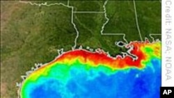 Biofuels Unravel Efforts to Shrink Gulf Dead Zone
