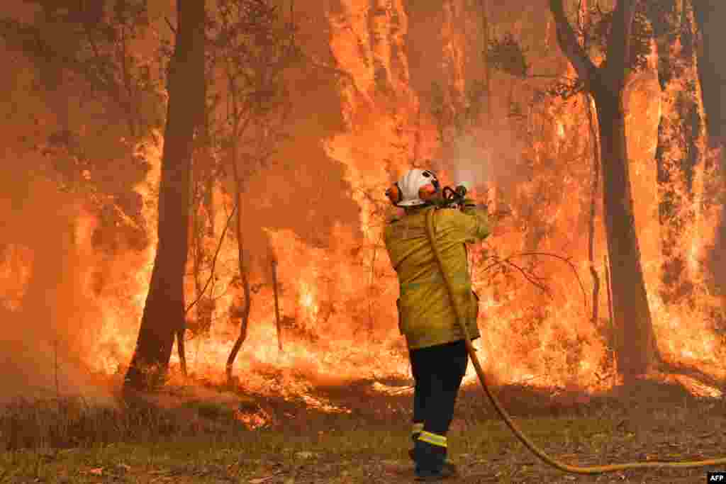 A firefighter goes through back-burning measures to secure housing areas from growing bush fires, about 100 kilometers north of Sydney, Australia.