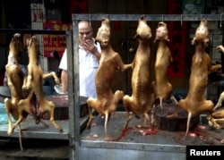 FILE: A vendor smokes behind a display of dog meat at a dog meat market on the day of a local dog meat festival in Yulin, Guangxi Autonomous Region, June 22, 2015.