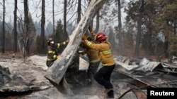 Para petugas pemadam kebakaran menyingkirkan puing-puing saat mengevakuasi sisa jenazah manusia dari karavan yang hancur dilalap kebakaran Camp Fire di Paradise, California, 17 November 2018.
