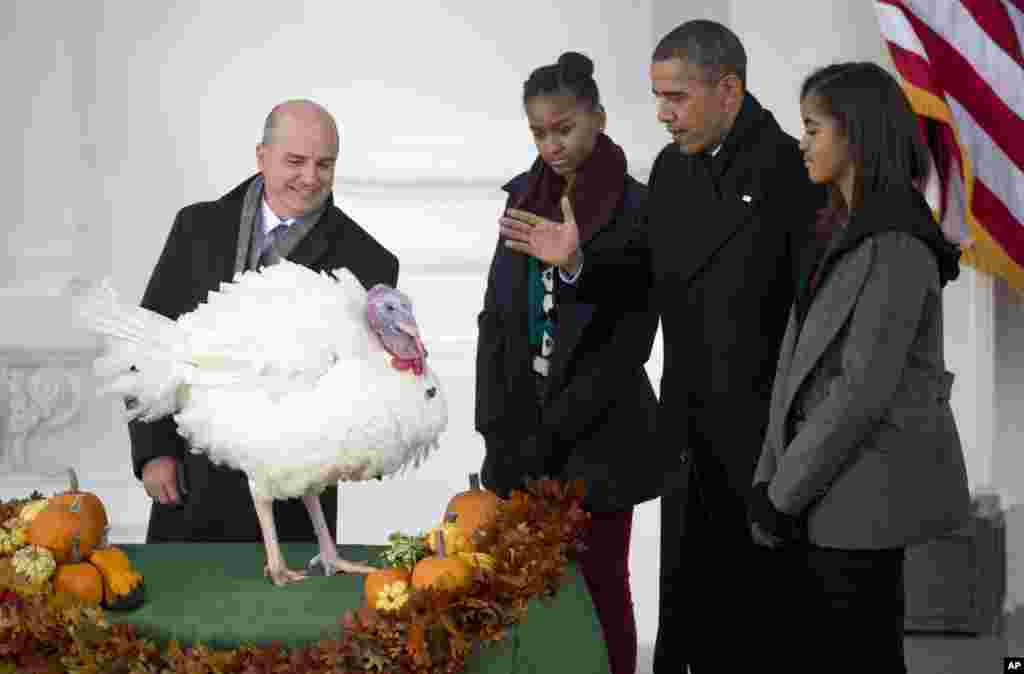 Presiden Barack Obama, dengan putri-putrinya Sasha dan Malia, meneruskan tradisi Thanksgiving dengan &#39;mengampuni&#39; kalkun nasional Popcorn di Gedung Putih (27/11).&nbsp;(AP/Carolyn Kaster)