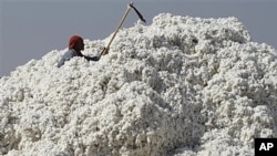 Indian laborer at cotton mill in Dhrangadhra, about 110 kilometers from Ahmadabad, India, Dec. 11, 2011.