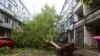 중국, 태풍 레끼마로 32명 사망 