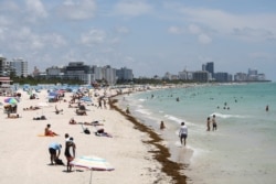 A general view of the South Beach as beaches are reopened with restrictions to limit the spread of the coronavirus disease (COVID-19), in Miami Beach, Florida, U.S., June 10, 2020.