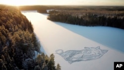 A drawing of a fox is seen on the frozen Pitkajarvi lake north of Helsinki, Finland, Saturday, Dec. 4, 2021. An architect-designer in southern Finland has returned to a frozen lake with a snow shovel to draw a large animal on the ice for the sixth year in a row. (Pasi Widgren vi