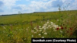 The site where Flight 93 crashed on 9/11, the final resting place of its passengers and crew, is now a field of wildflowers.