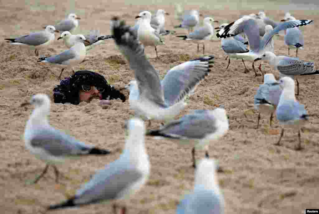 Seagulls surround a man who was buried by his friends in sand and crackers at Bondi Beach in Sydney, Australia.