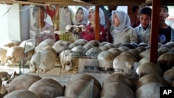 An estimated 500,000 Cambodian Muslims died under the Khmer Rouge, through overwork, starvation or execution, file photo. 