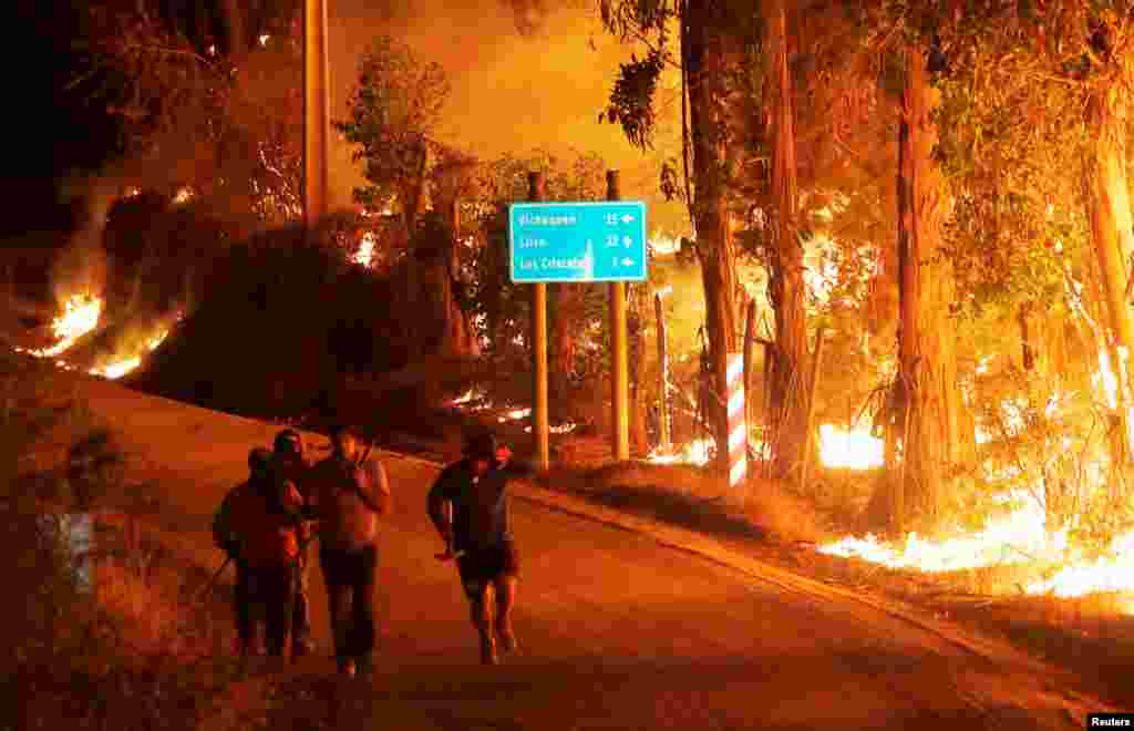 Forest fires rage along a road in the town of Hualane, on the outskirts of the Curico city, south of Chile, Jan. 21, 2017.
