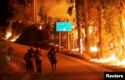 Flames shoot along a road in the town of Hualane during a big forest fire, on the outskirts of the Curico city, southern Chile, Jan. 21, 2017.