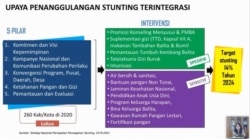 Pemaparan Dhian Dipo, Direktur Gizi Masyarakat, Kementerian Kesehatan RI tentang upaya penanggulangan stunting terintegrasi, 30 Juni 2020. (Foto: Screengrab)