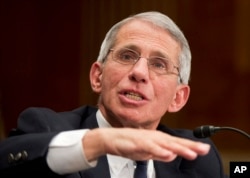 NIH National Institute of Allergy and Infectious Diseases Director Anthony Fauci testifies on Capitol Hill in Washington, Feb. 11, 2016.