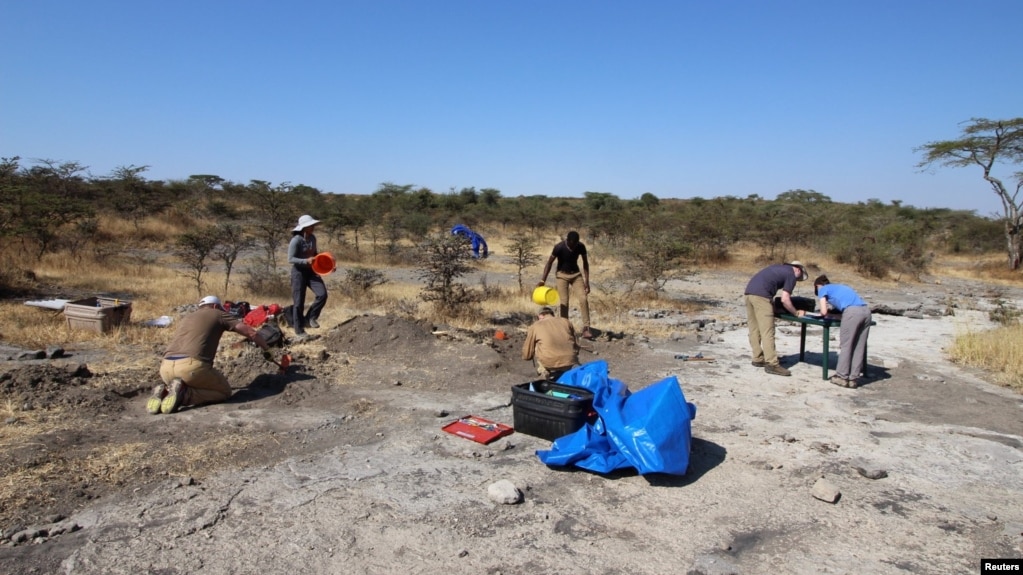 Researchers work at a site called Laetoli in northern Tanzania, where they found five fossilized footprints dating from 3.66 million years ago. Shirley Rubin/Handout via REUTERS