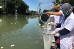 Pengambilan sample air sungai di Pegirian, Surabaya untuk mengetahui tingkat pencemaran (Foto: Ecoton)