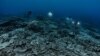 นักวิทย์พบแนวปะการังเก่าแก่หายากในชายฝั่งตาฮิติ