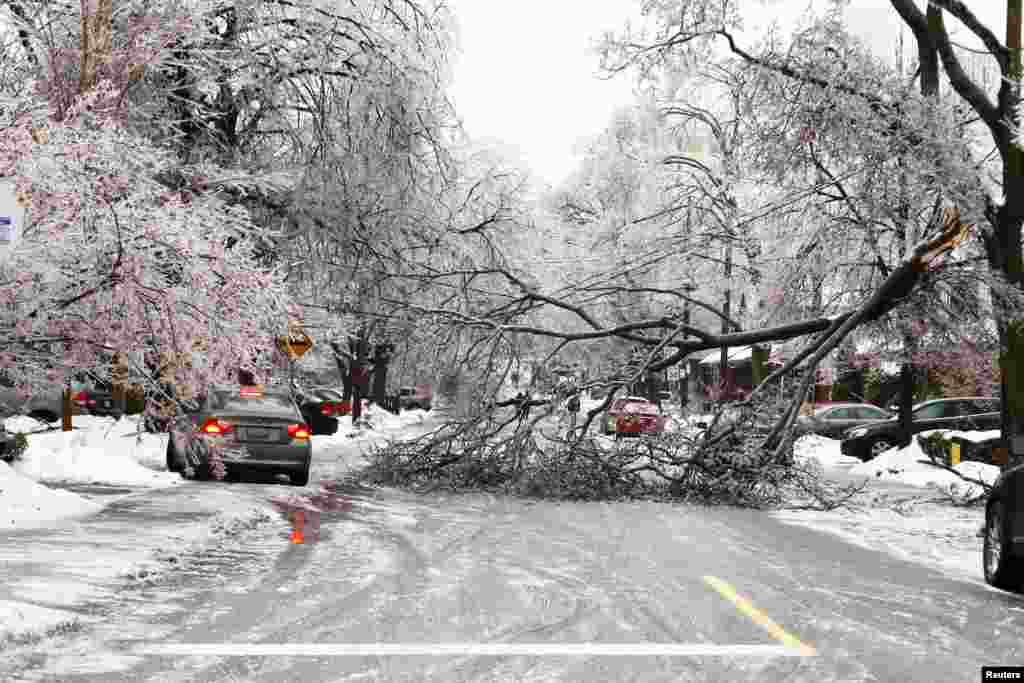 A vehicle tries to drive over a sidewalk to avoid an ice-covered tree branch that came down after freezing rain in Toronto, Canada. Thousands of households are without power in the Greater Toronto area following an overnight ice storm.