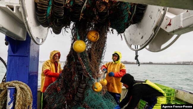 FILE - French fishermen gather in a net on their vessel near the port of Saint Helier off the British island of Jersey, May 6, 2021.