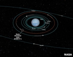 This diagram provided by NASA shows the orbits of several moons located close to the planet Neptune. The new moon, Neptune's tiniest, is designated S/2004 N 1.