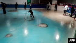 The handout picture taken in November 2016 and released on November 28, 2016 shows people skating on an ice rink with 5,000 frozen dead fish inside at the Space World amusement park in Kitakyushu, southwestern Japan. 