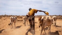 'ኣብ ኢትዮጵያ ዝተናውሐ ድርቂ ስድራታት ናብ ጠርዚ ይድፍኦም ኣሎ' ዩኒሴፍ