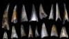 Fish teeth and shark scales from sediment in the South Pacific Ocean dating around the mass extinction event 66 million years ago, photographed under a high powered microscope. (Credit: E. Sibert on Hull lab imaging system, Yale University)