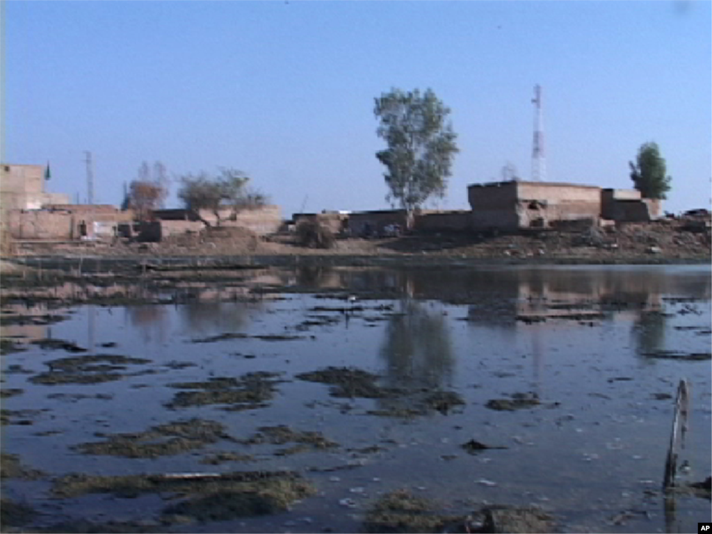 سندھ میں سیلاب زدگان کے مسائل پر نظر
