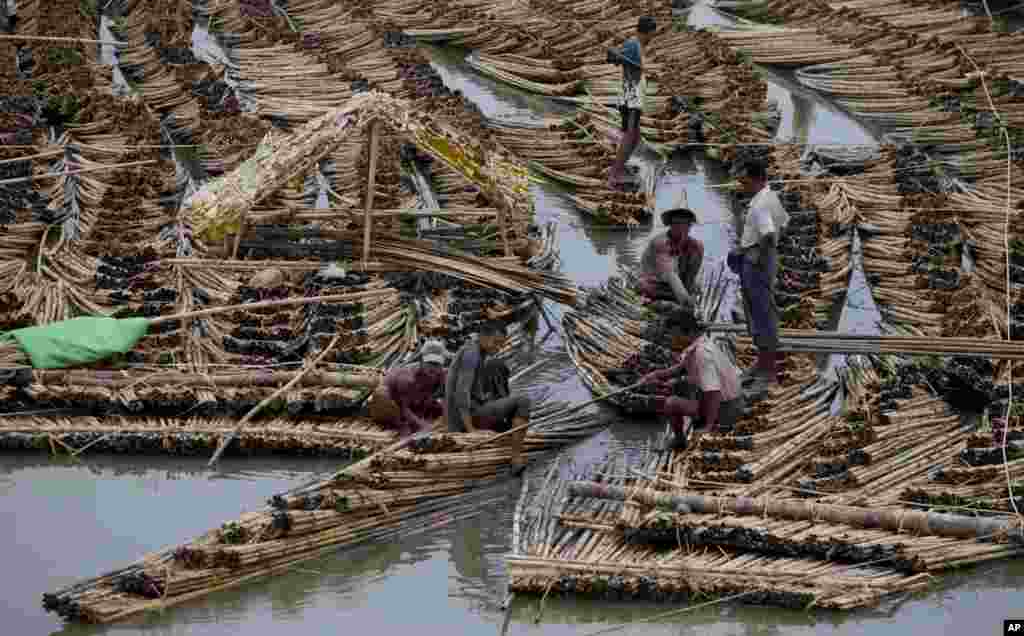 Workers push sections of a huge bamboo raft as others try to dismantle parts of it in Sittwe, northwestern Rakhine State, Burma.