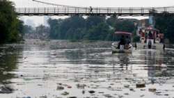 ပလပ္စတစ္စား အင္ဇိုင္းသစ္ ေတြ႔ရွိ