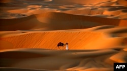 FILE - A man walks his camel across the Liwa Oasis, southwest of the Emirati capital, Abu Dhabi, Dec. 20, 2015. 
