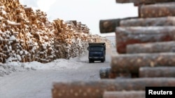 FILE - A truck drives past stacks of pine logs at a wood processing plant of the Kraslesinvest state company, located in the Taiga area in the Boguchansky district of Krasnoyarsk region, Russia, February 3, 2017. (REUTERS/Ilya Naymushin )