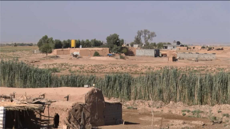 لە ناوچەیەکی کوردستانی، عەرەب بووەتە زۆرینە و لەوێش سەرژمێری دەکرێن 