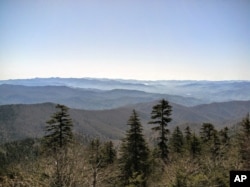 A view from Clingmans Dome, Great Smoky Mountains National Park