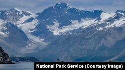 Exploring Glacier Bay by kayak