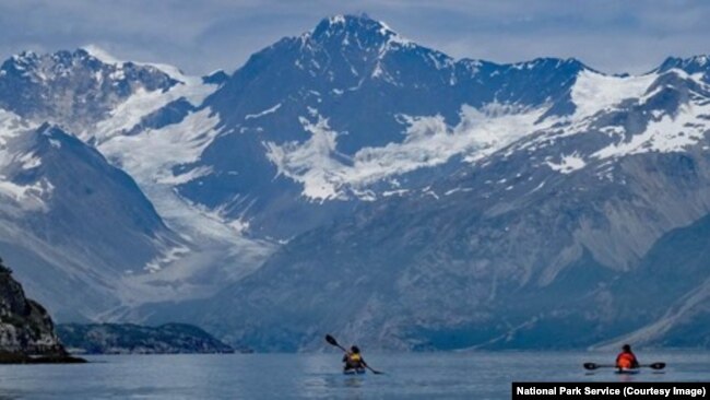 Exploring Glacier Bay by kayak