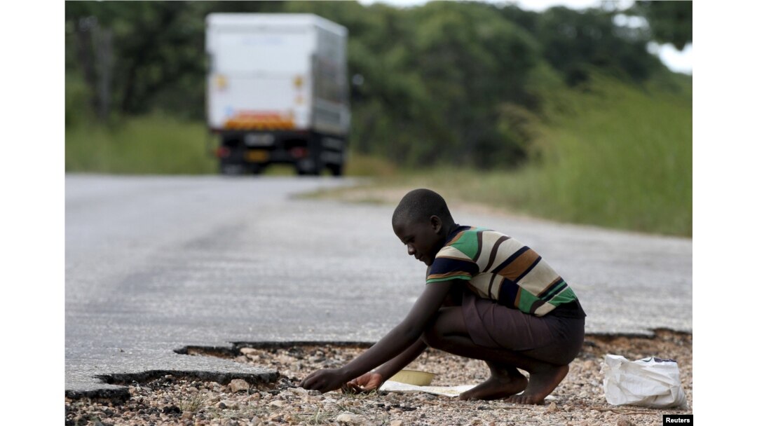 FILE - A woman gathers grain spilled by cargo trucks from Zambia along a highway in Magunje, Zimbabwe, Feb. 20, 2016. Zimbabwean President Robert Mugabe had declared a state of disaster in most rural parts of the country severely hit by a drought.