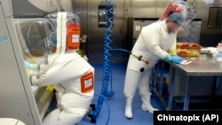 资料照片：武汉病毒所实验室内的研究人员 （美联社 2017年2月23日）