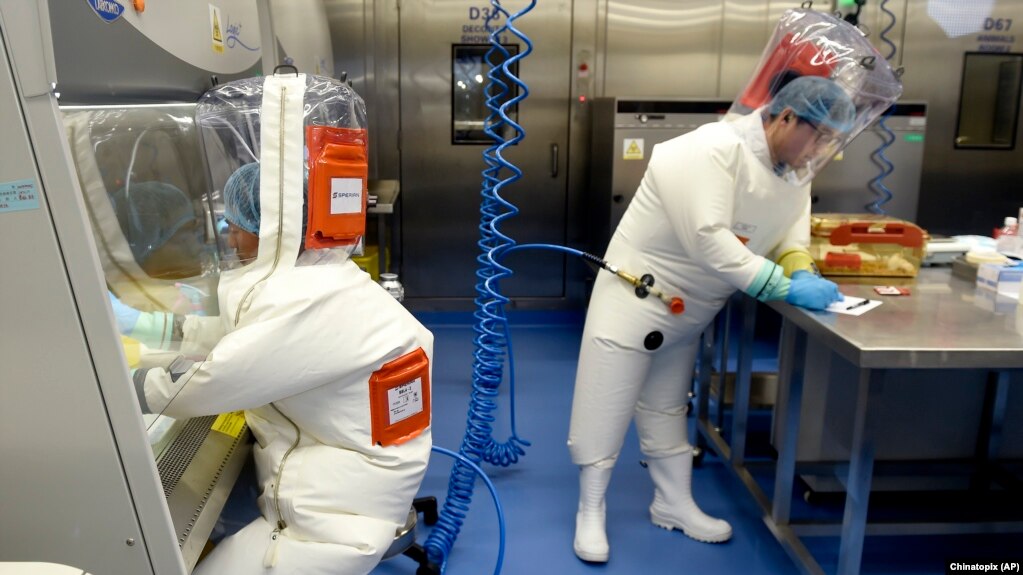In this photo taken Thursday, Feb. 23, 2017, researchers work in a lab of the Wuhan Institute of Virology in Wuhan