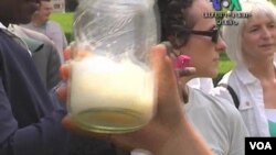 Keamanan meminum susu yang belum dipasteurisasi masih dipertanyakan.