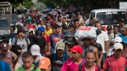Thousands of Migrants Head to U.S. Border