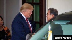 도널드 트럼프 미국 대통령이 11일 백악관에서 문재인 한국 대통령과 정상회담을 마친 후 문 대통령을 배웅하고 있다.