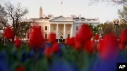アメリカ合衆国ホワイトハウスの眺め