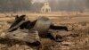 Paramount Ranch, where a number of Hollywood westerns have been filmed, is seen after it was decimated by a wildfire Friday, Nov. 9, 2018, in Augura Hills, Calif.