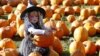 Pumpkins Are Huge As Halloween Approaches