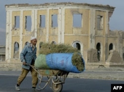 “Qirg’iziston hukumati Afg’oniston masalasida aniq strategiyaga ega emas”