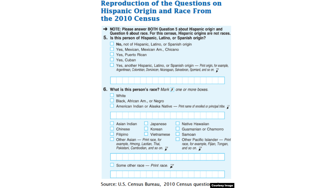 Detail from 2010 Federal Census form in which citizens may now claim more than one racial identity