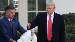 "Mantequilla" fue el pavo concedido el "perdón" por el presidente Trump.