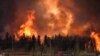 کینیڈا: جنگل کی آگ سے متاثرہ ہزاروں افراد کا انخلا