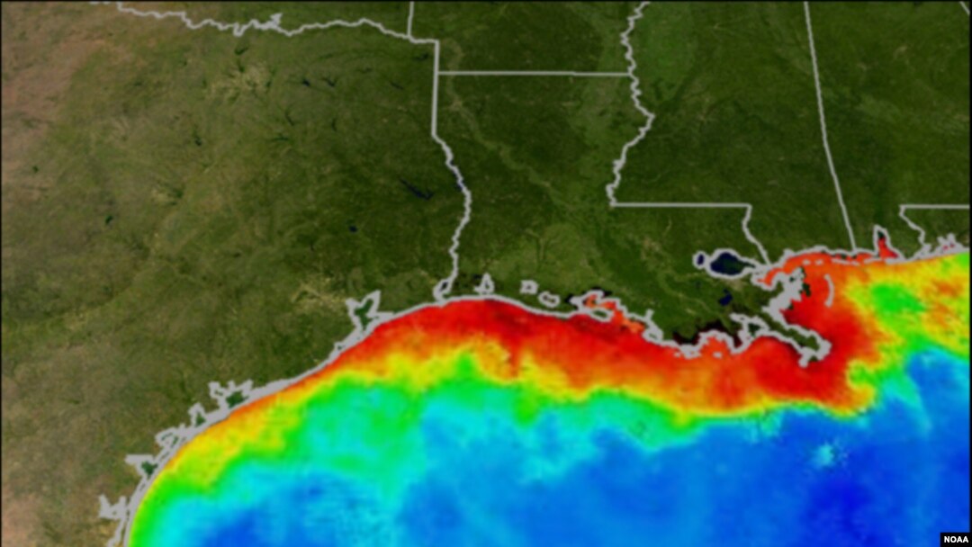 NOAA predicts possible record-breaking 'Dead Zone' in the Gulf of Mexico.