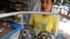 FILE - Radiated tortoises, originally a native species of southern Madagascar, are on display during an annual flora and fauna expo in Jakarta, Indonesia.